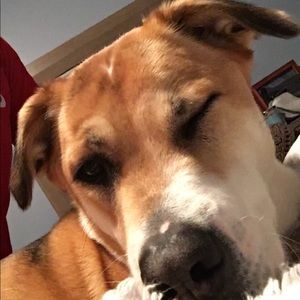 Meet your Posher, Brendan